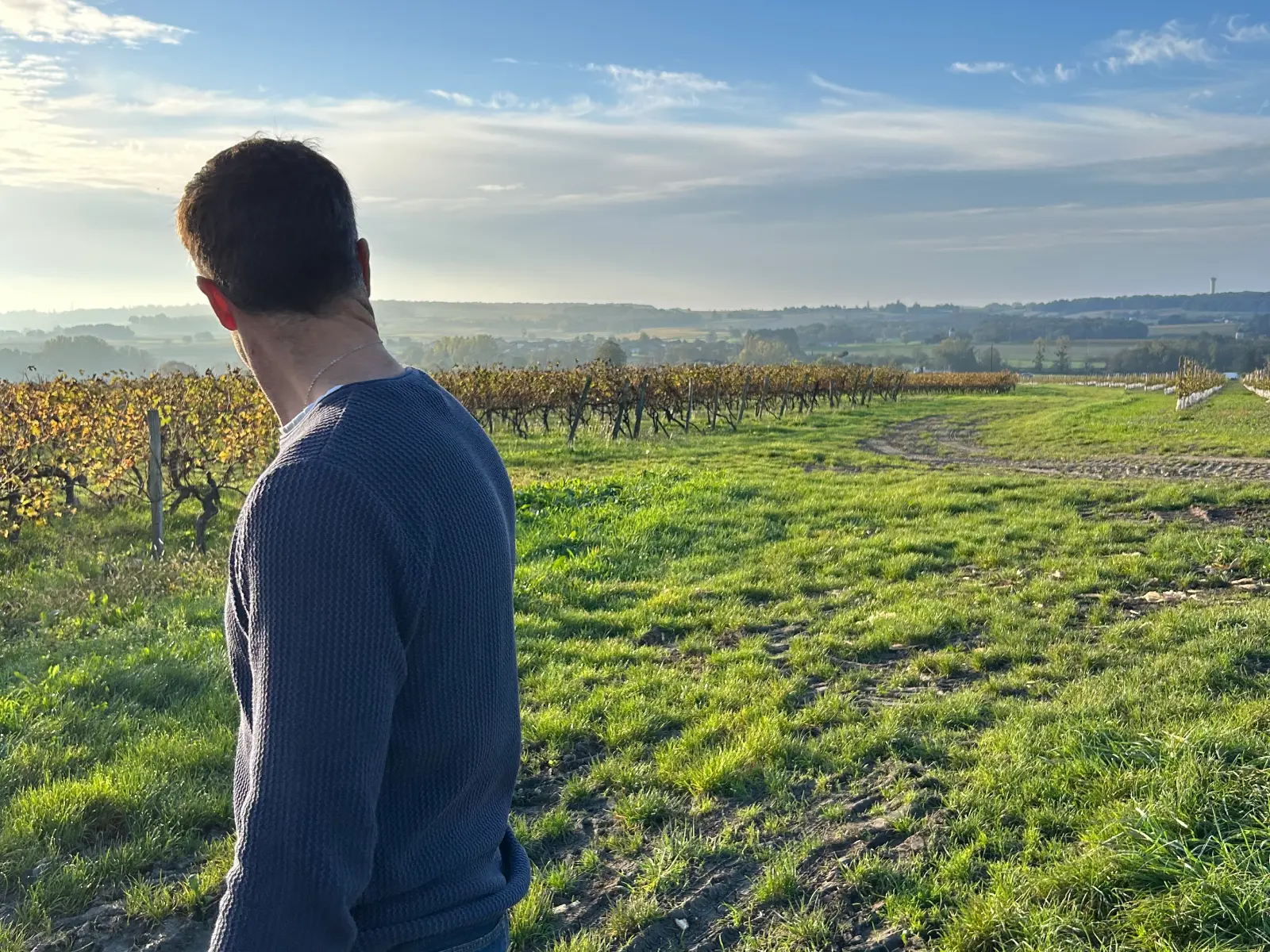 pierre palissier regardant les vignes